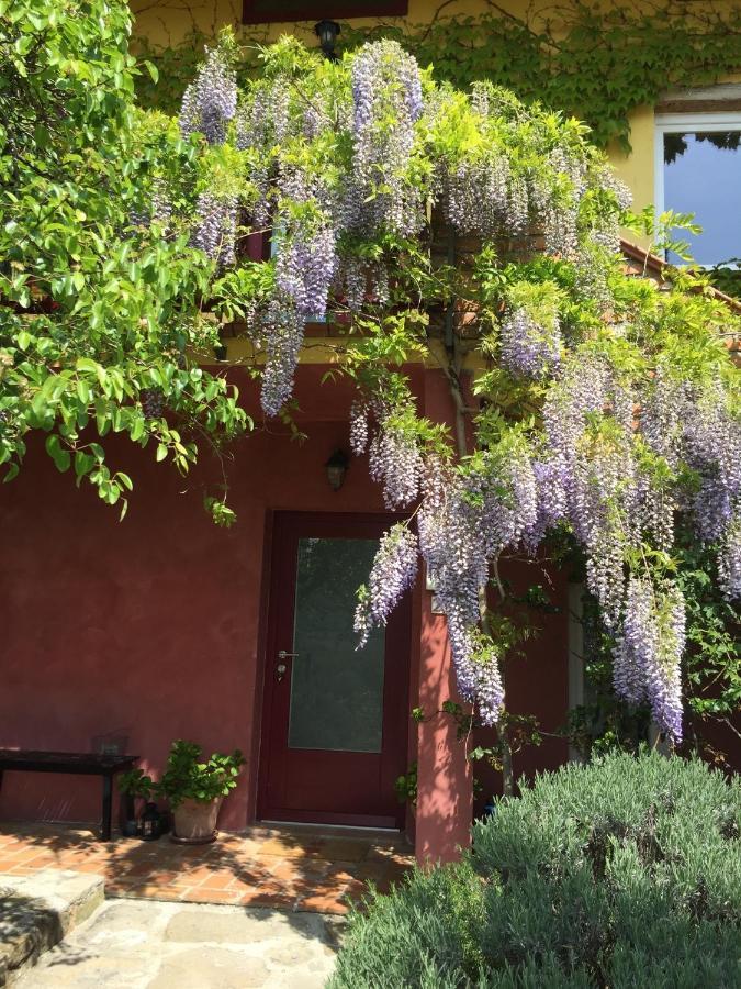 Apartma Vita Dobrovo Bagian luar foto