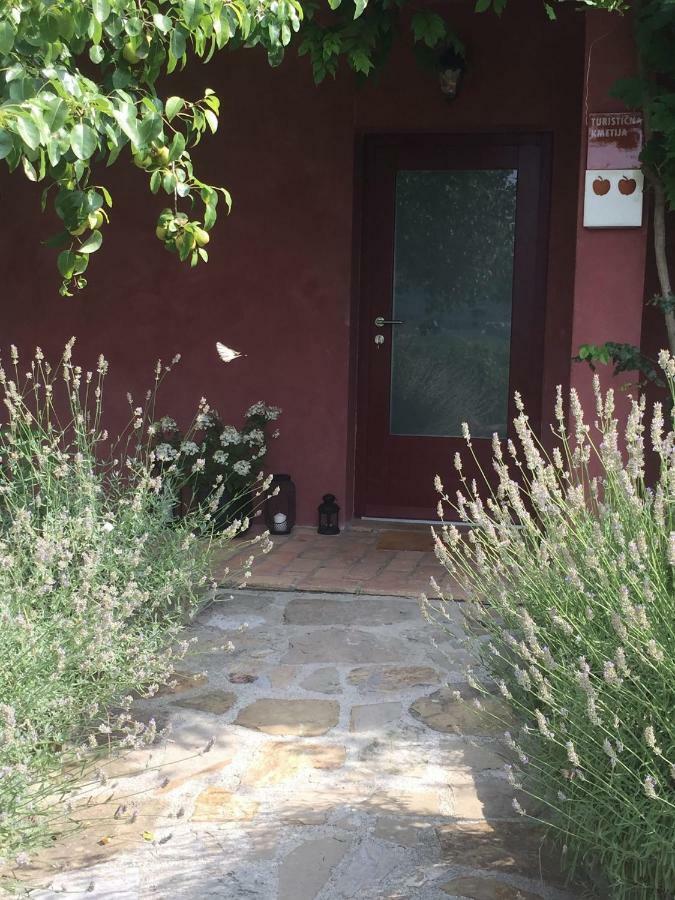 Apartma Vita Dobrovo Bagian luar foto