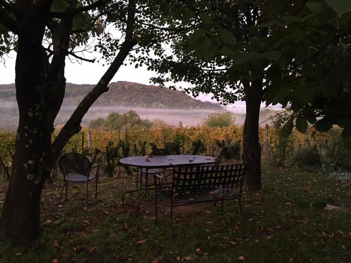 Apartma Vita Dobrovo Bagian luar foto